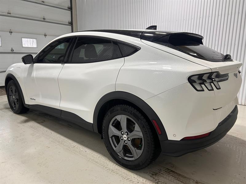 2023 Ford Mustang - Image 8