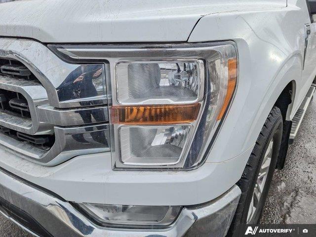 ford F-150 2022 - 10