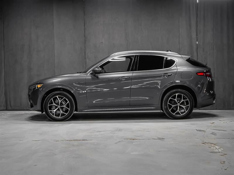 alfa romeo Stelvio 2020 - 3