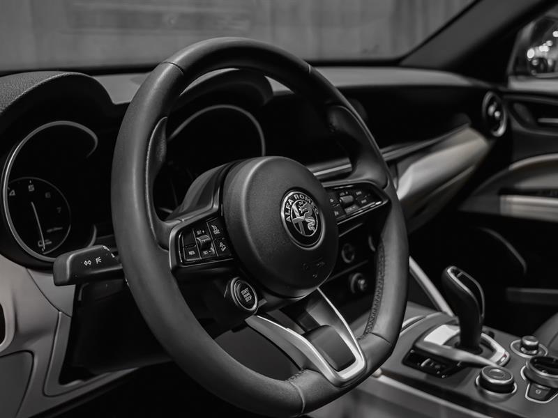 alfa romeo Stelvio 2020 - 10