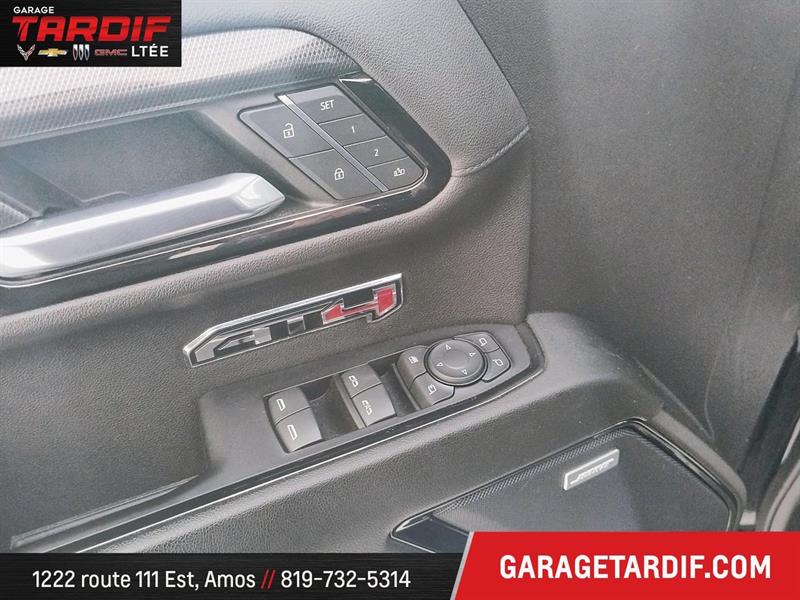 gmc Sierra 1500 4WD Crew CAB Pickup 2023 - 13