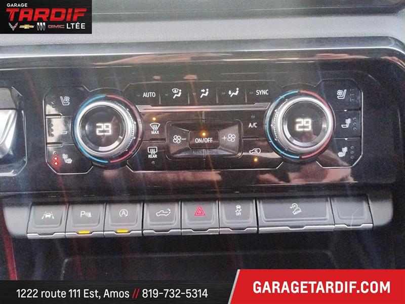 gmc Sierra 1500 4WD Crew CAB Pickup 2023 - 21