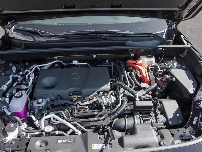 2025 Toyota RAV4 - Image 6