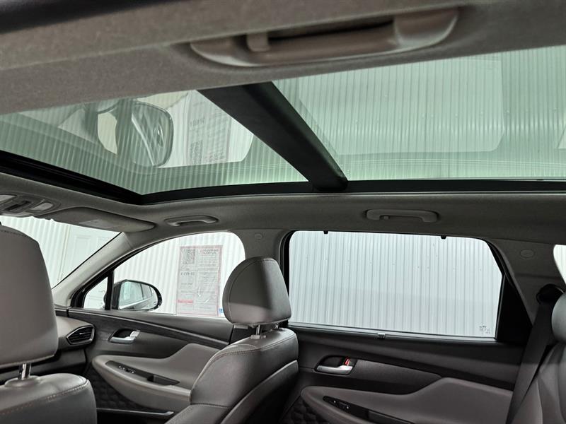 hyundai Santa Fe 2020 - 16