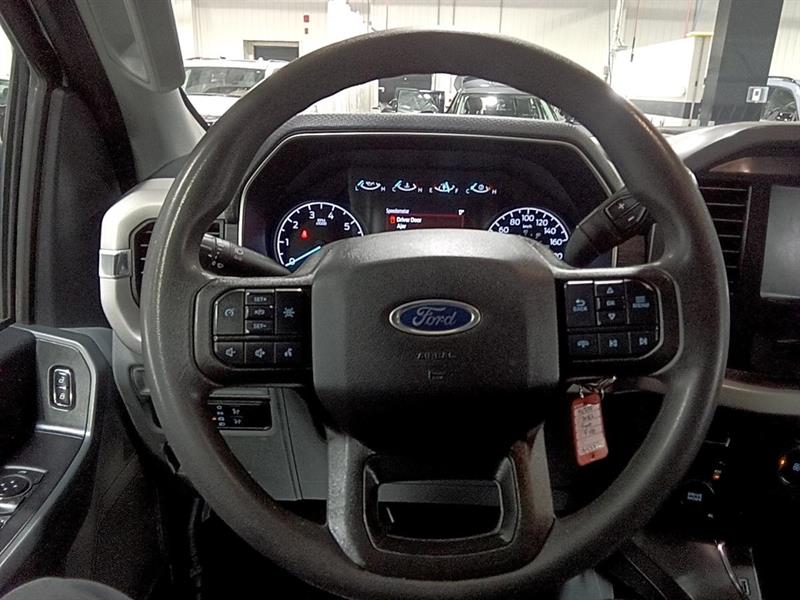 ford F-150 2022 - 15