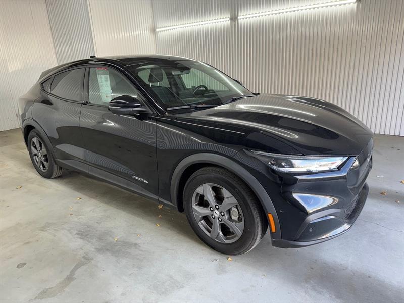 2023 Ford Mustang - Image 4