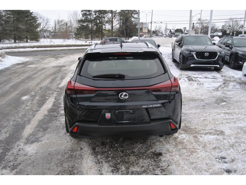 2024 Lexus UX - Image 4
