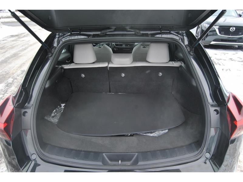 2024 Lexus UX - Image 11