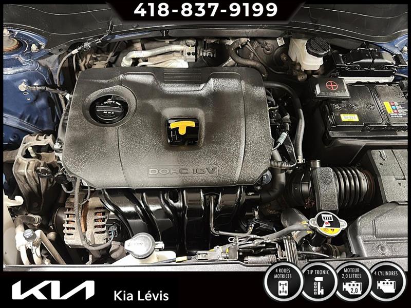 kia Seltos 2023 - 15