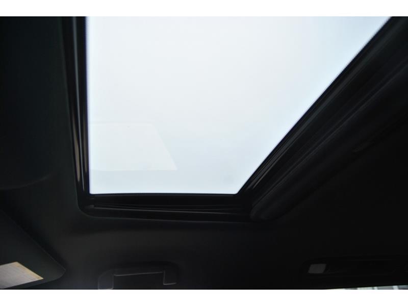 2024 Infiniti QX80 - Image 29