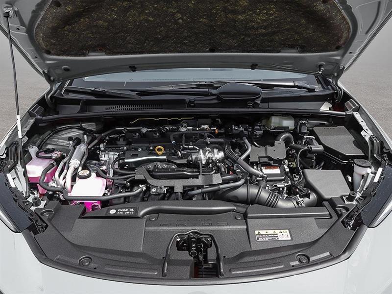 2026 Toyota Prius - Image 6