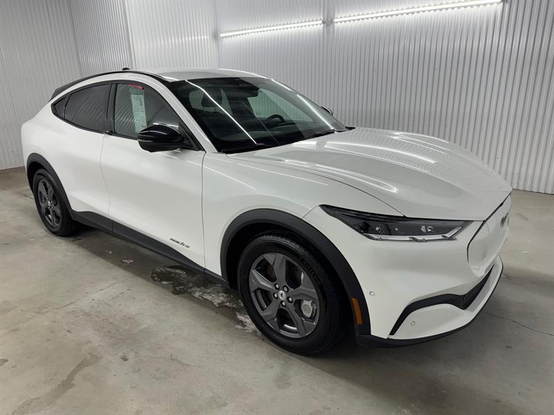 2023 Ford Mustang - Image 3