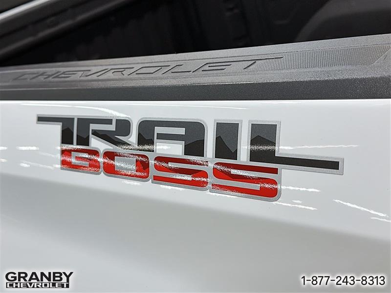 chevrolet Silverado 1500 2024 - 20