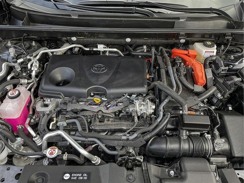 2025 Toyota RAV4 - Image 6