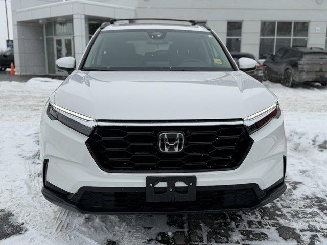 honda CR-V 2025 - 2