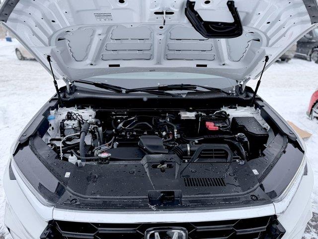 honda CR-V 2025 - 3
