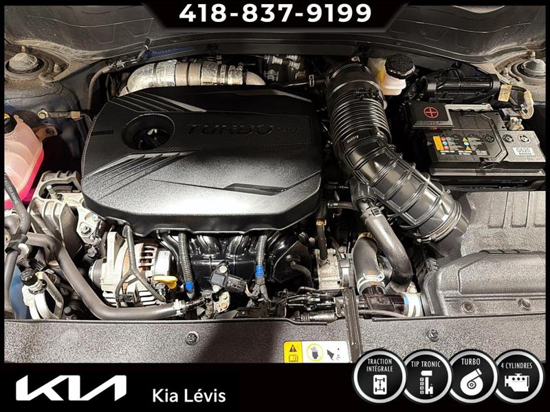 kia Seltos 2021 - 16