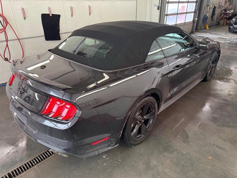 2022 Ford Mustang - Image 7