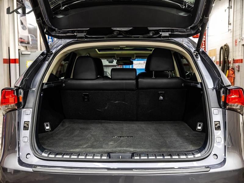 2019 Lexus NX - Image 16