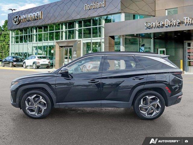 hyundai Tucson Hybrid 2024 - 2