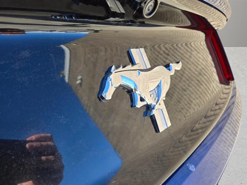 ford Mustang 2017 - 13