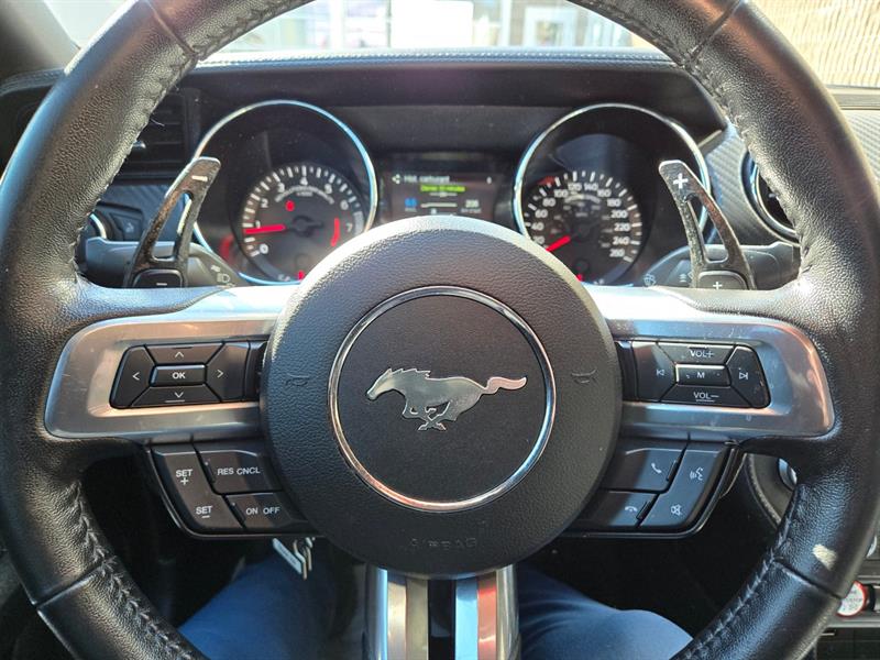 ford Mustang 2017 - 23