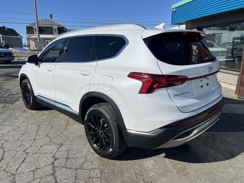 hyundai Santa Fe 2021 - 12