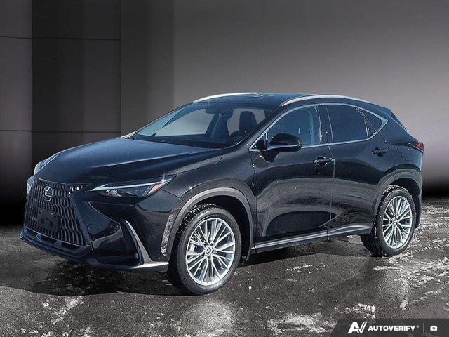 lexus NX 2024