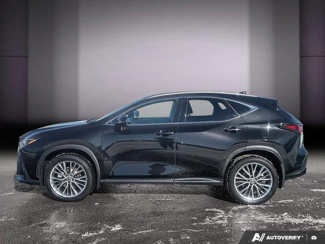 lexus NX 2024 - 2