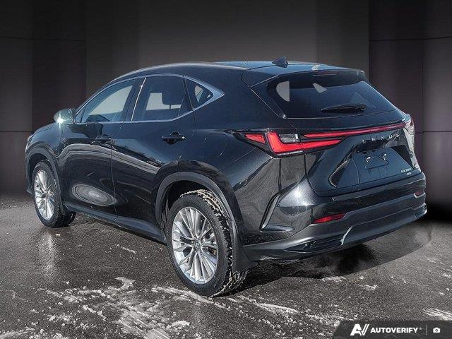 lexus NX 2024 - 3