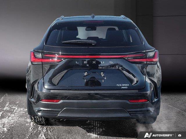 lexus NX 2024 - 4