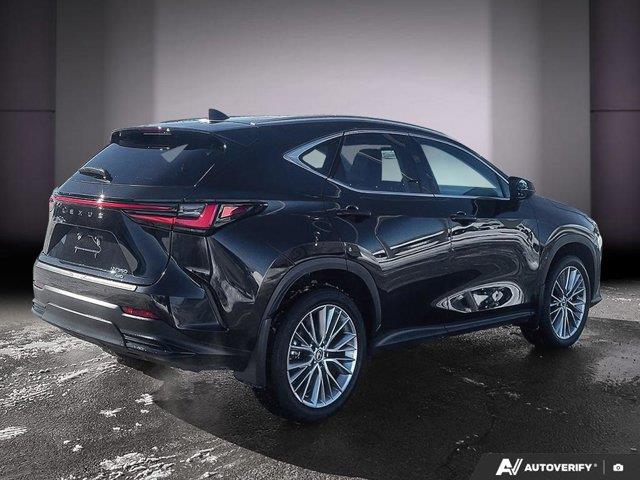 lexus NX 2024 - 5