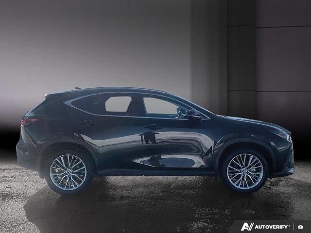 lexus NX 2024 - 6
