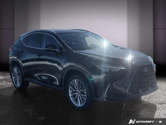 lexus NX 2024 - 7