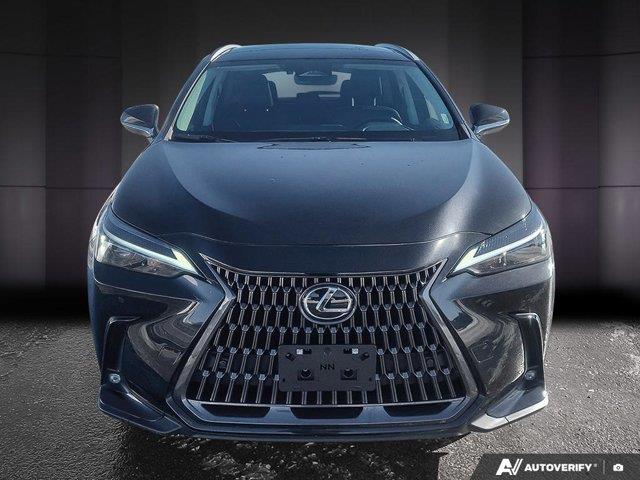 lexus NX 2024 - 8