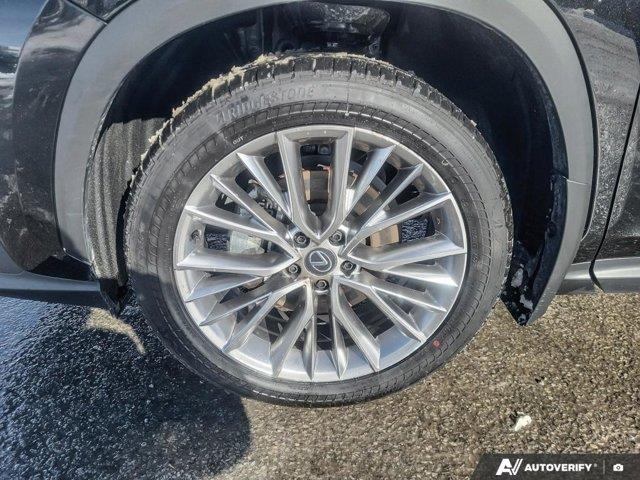 lexus NX 2024 - 9