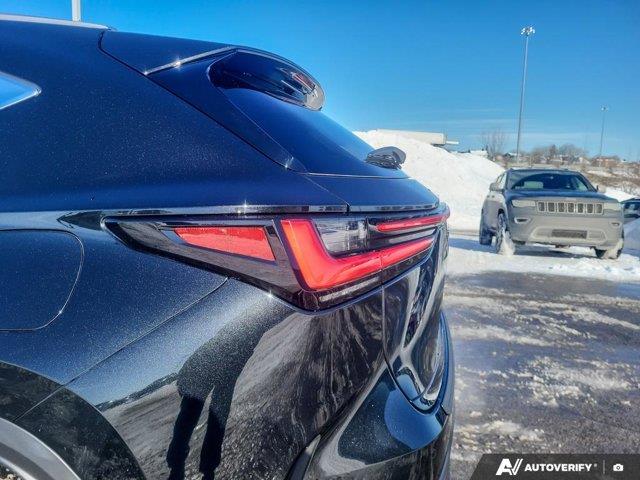 lexus NX 2024 - 14