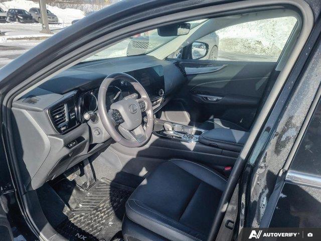 lexus NX 2024 - 16