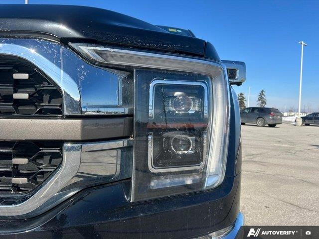ford F-150 2023 - 11
