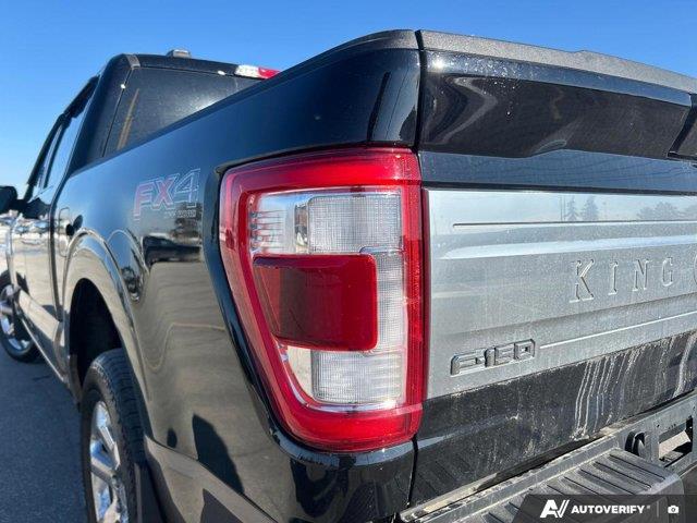 ford F-150 2023 - 14