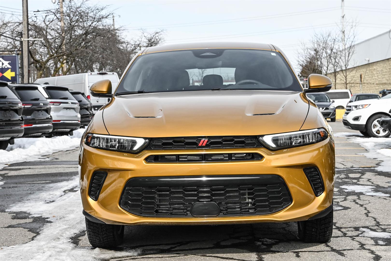 dodge Hornet 2024 - 2