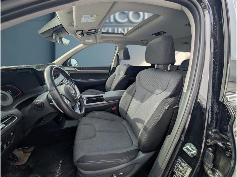 hyundai Palisade 2024 - 7