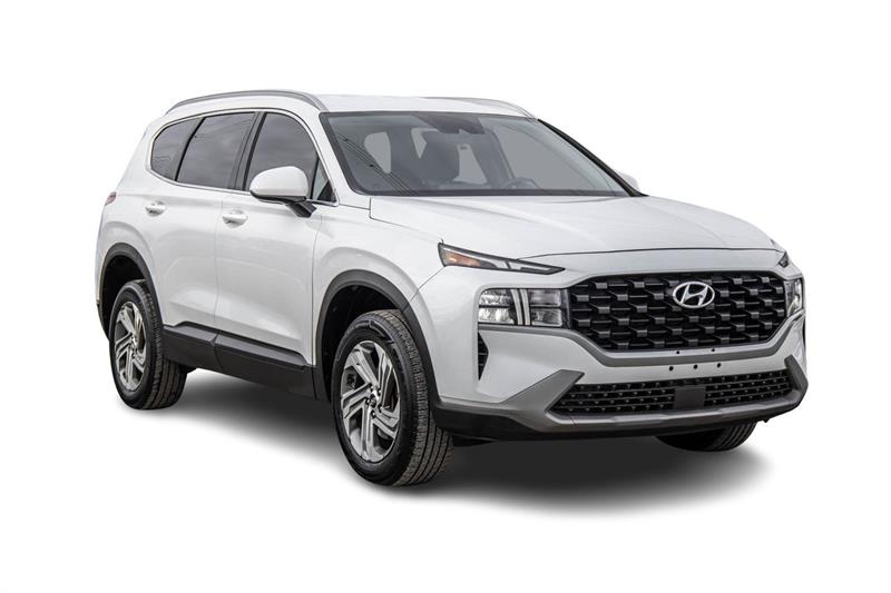 hyundai Santa Fe 2021 - 4