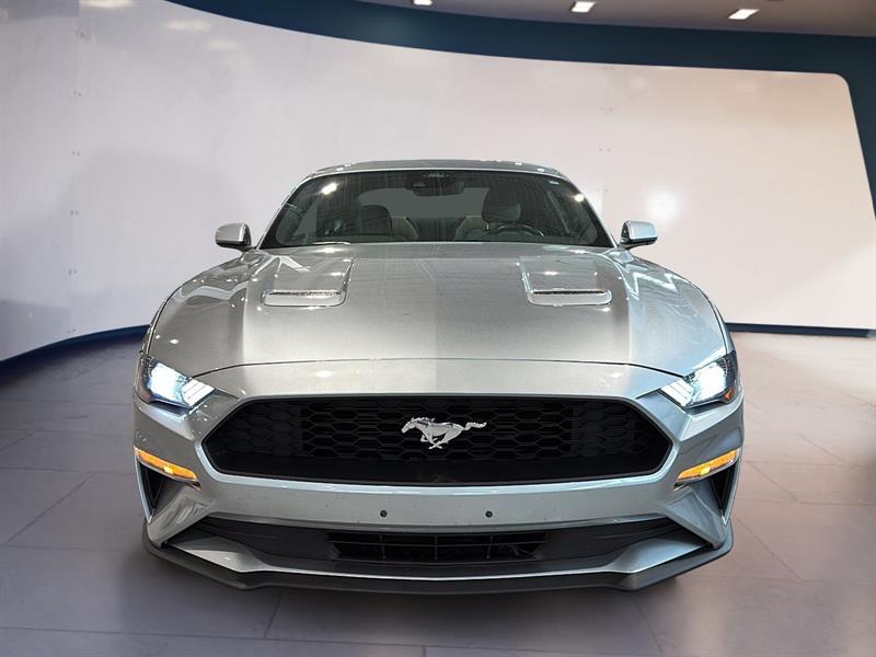 ford Mustang 2022 - 2