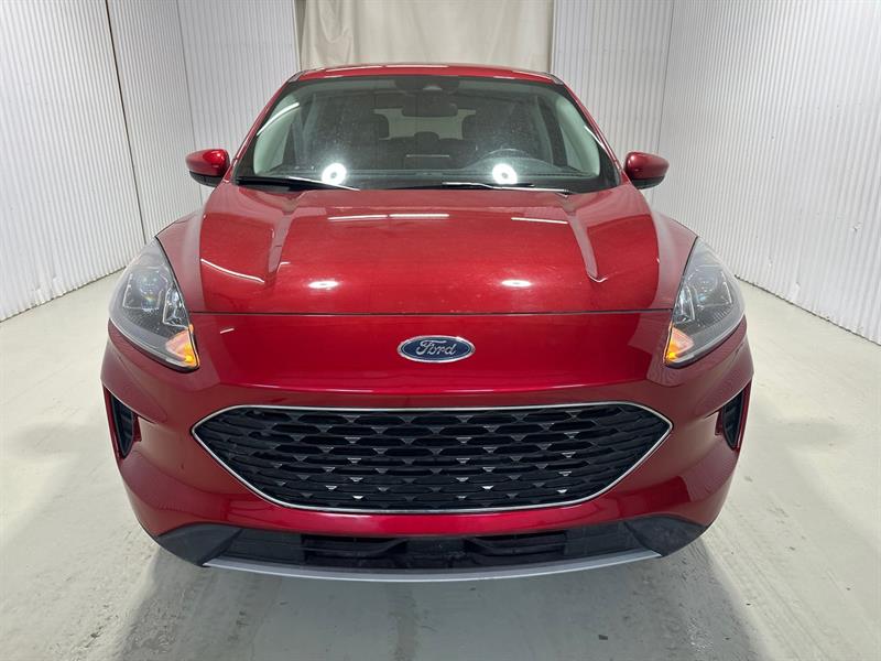 ford Escape 2021 - 2