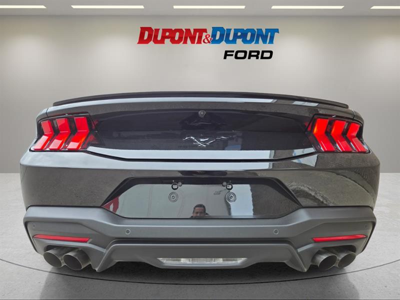 ford Mustang 2025 - 12