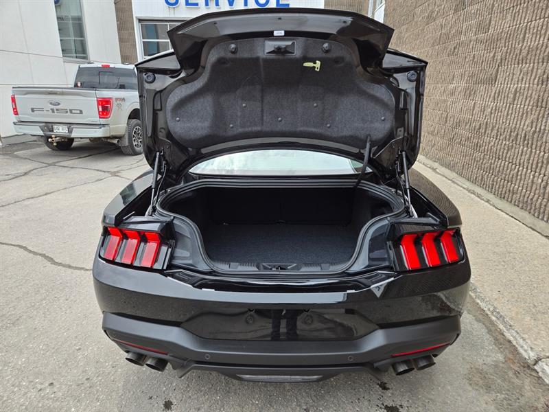 ford Mustang 2025 - 17
