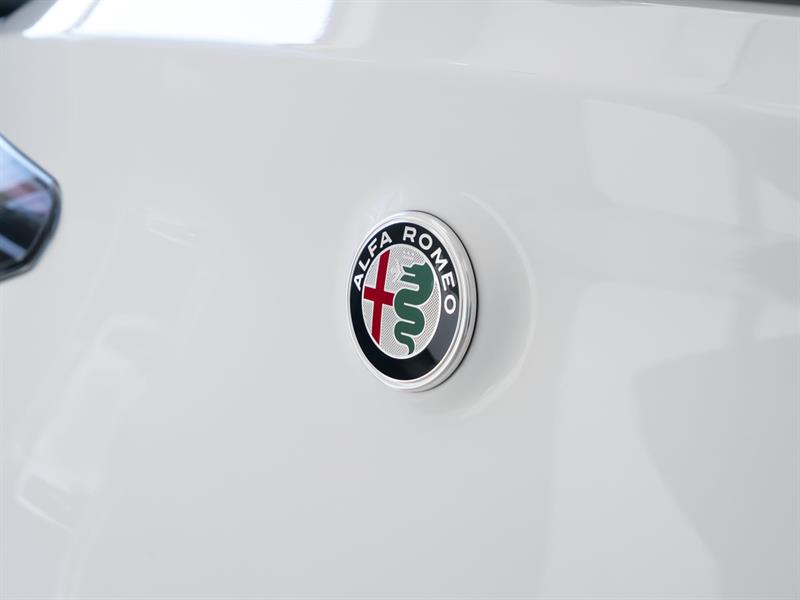 alfa romeo Stelvio 2025 - 13