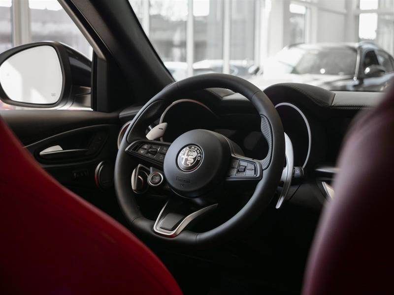 alfa romeo Stelvio 2025 - 43