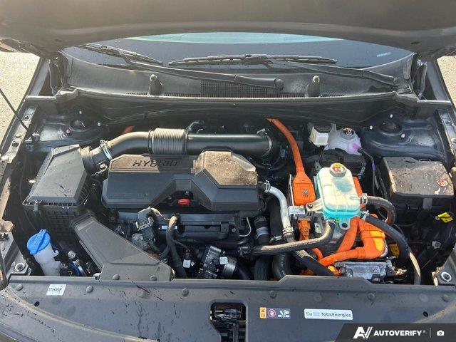 kia Sportage Plug-In Hybrid 2025 - 13
